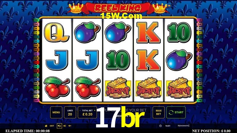 Security Systems 17br